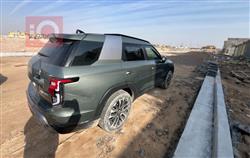 سانغ يونغ توريس